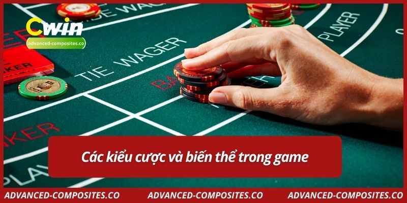 Các kiểu cược và biến thể trong game